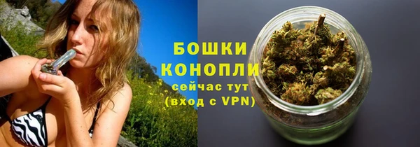 PSILOCYBIN Балахна