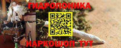 сатива Аргун