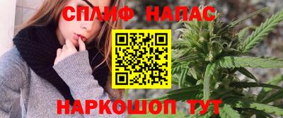 сатива Аргун