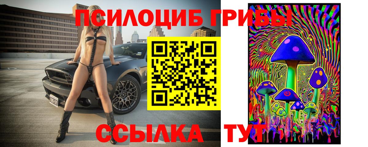 Галлюциногенные грибы Psilocybine cubensis  Псилоцибиновые грибы Cubensis  Вход с VPN  Волгоград 